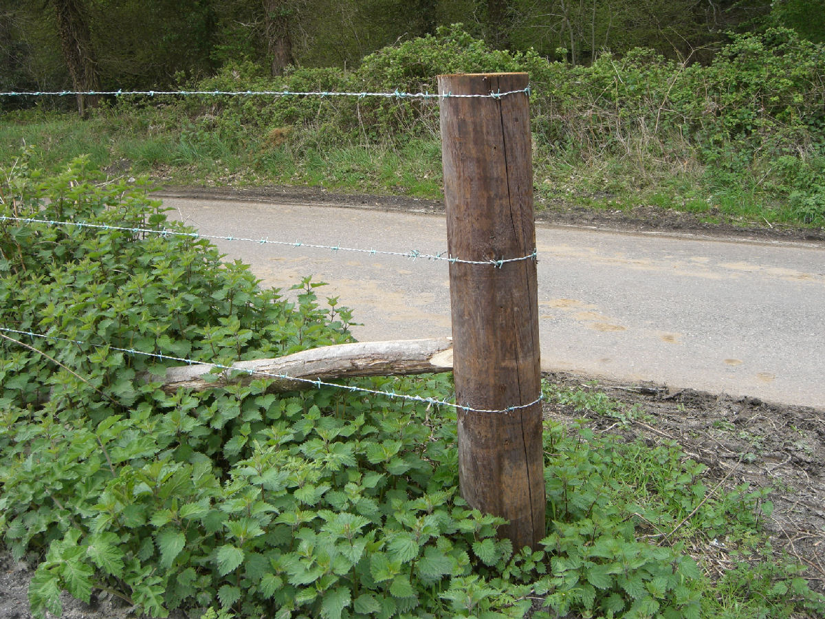 Gallery Dorset Fencing Supplies Ltd