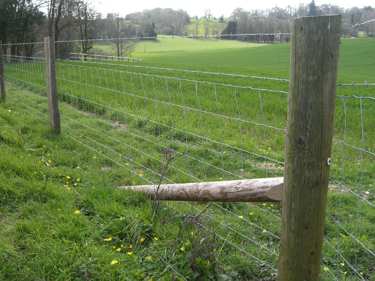 Gallery Dorset Fencing Supplies Ltd