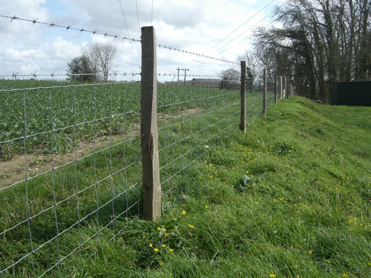 Gallery Dorset Fencing Supplies Ltd